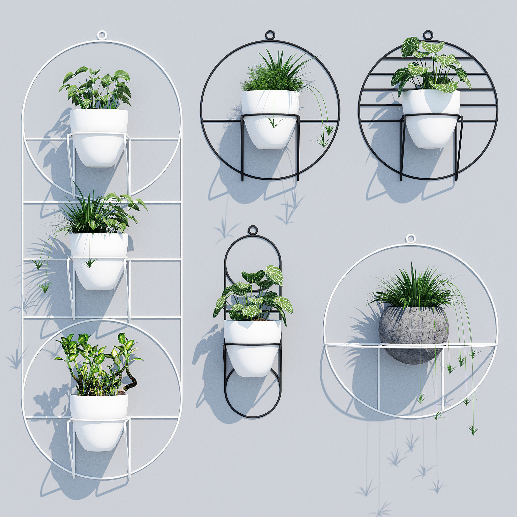 Cosmo sol 3D model_1