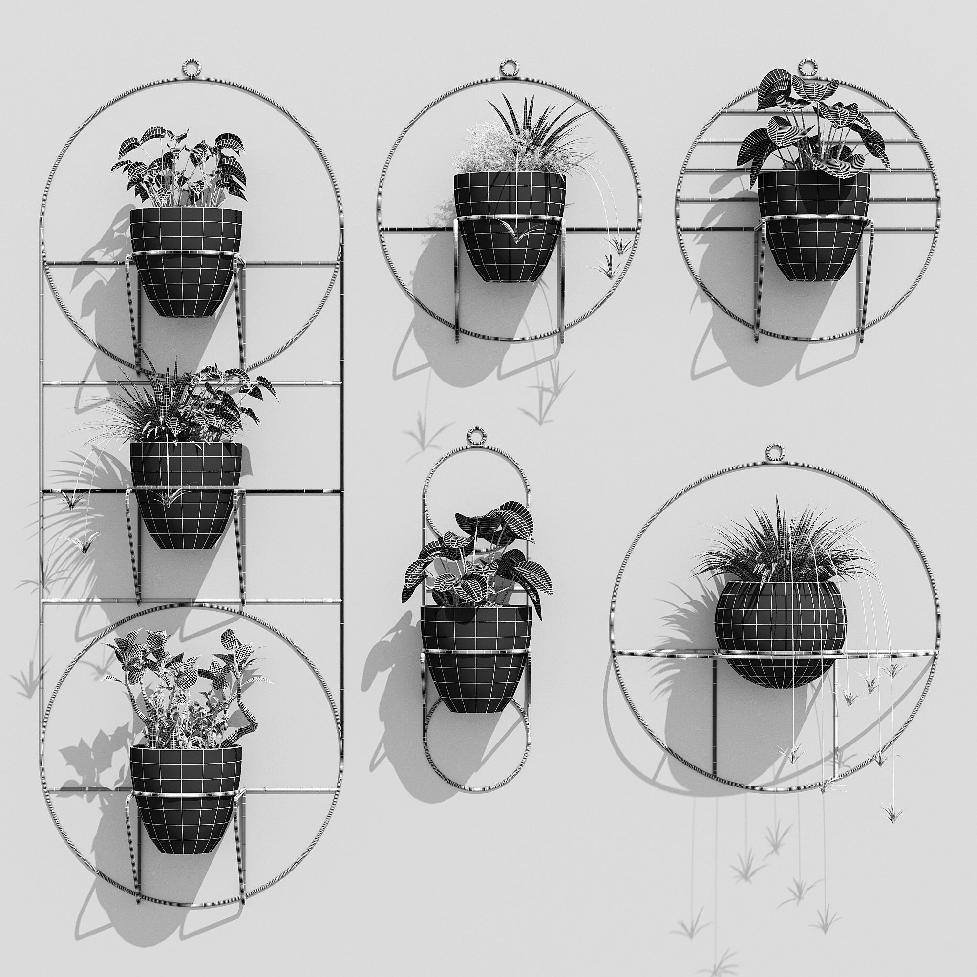 Cosmo sol 3D model_4