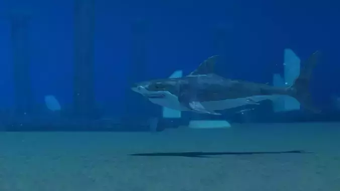 Shark Temple 3D model