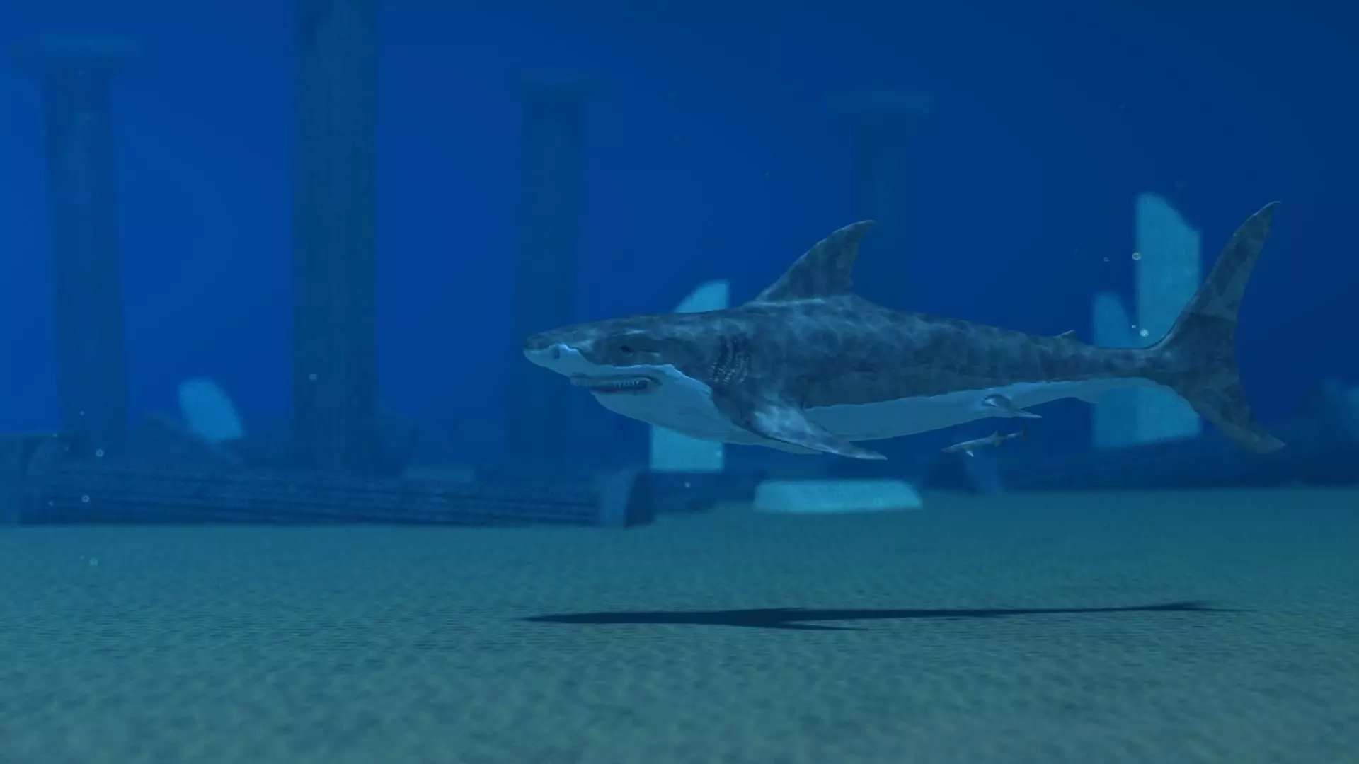 Shark Temple 3D model_0
