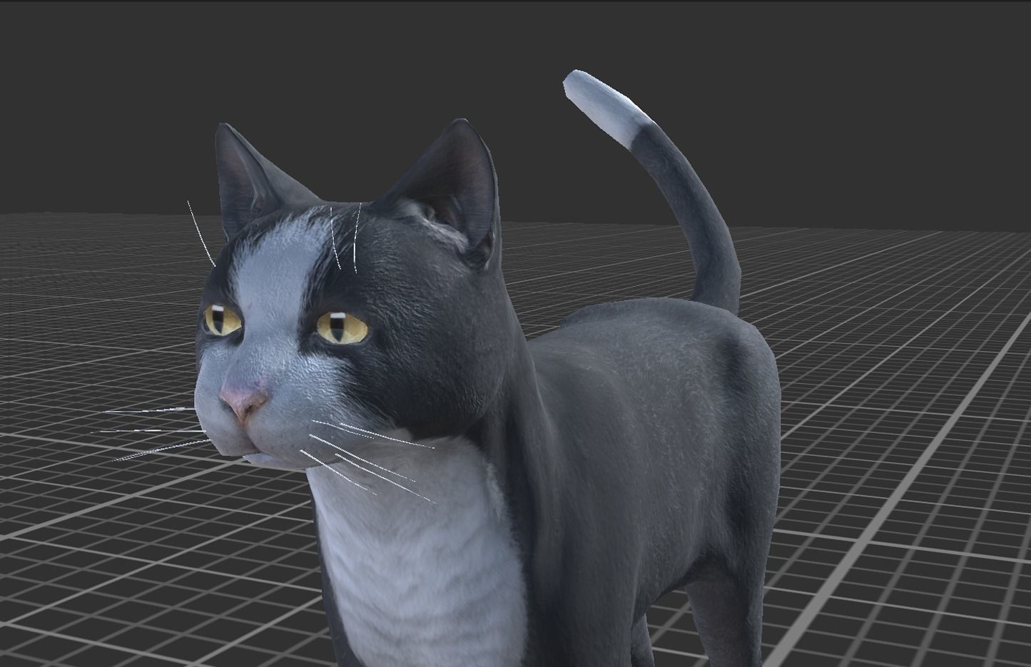 Cat pack 2 Low-poly 3D model_3