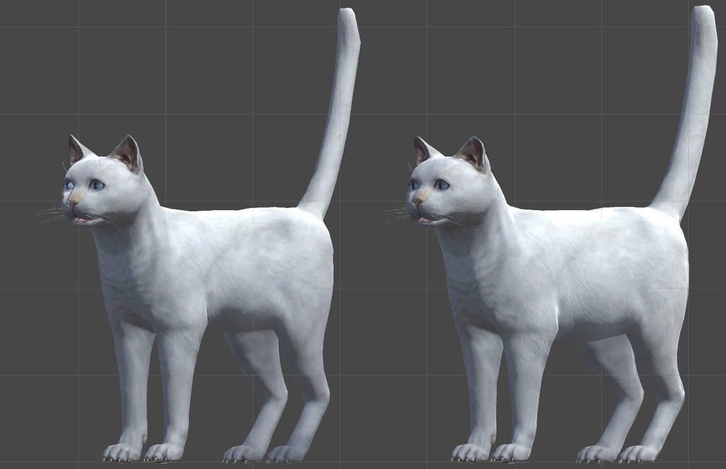 Cat pack 2 Low-poly 3D model_7
