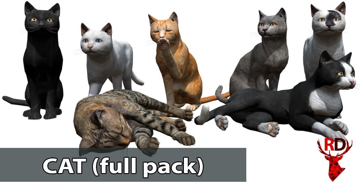 Cat pack 2 Low-poly 3D model_1