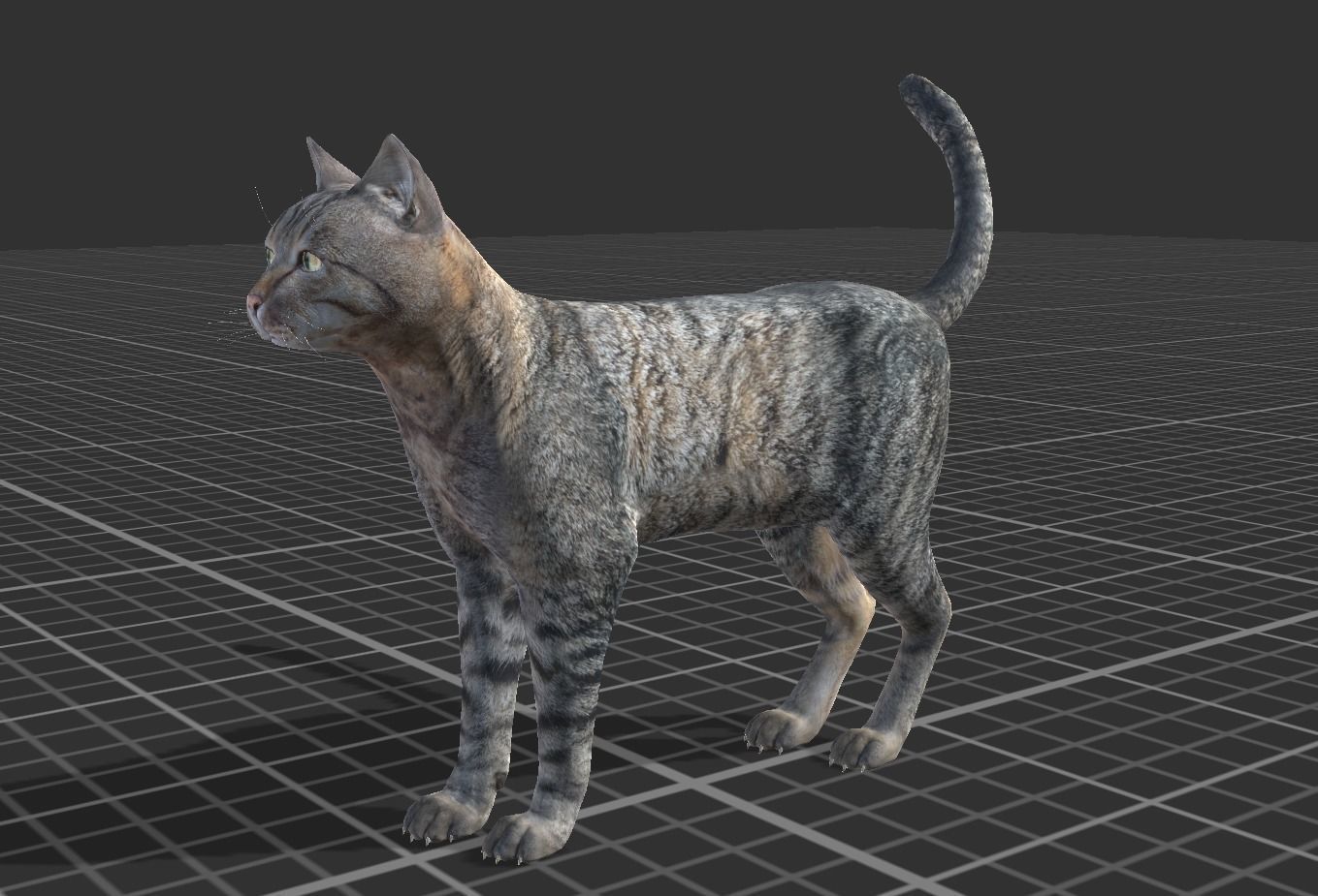 Cat pack 2 Low-poly 3D model_9