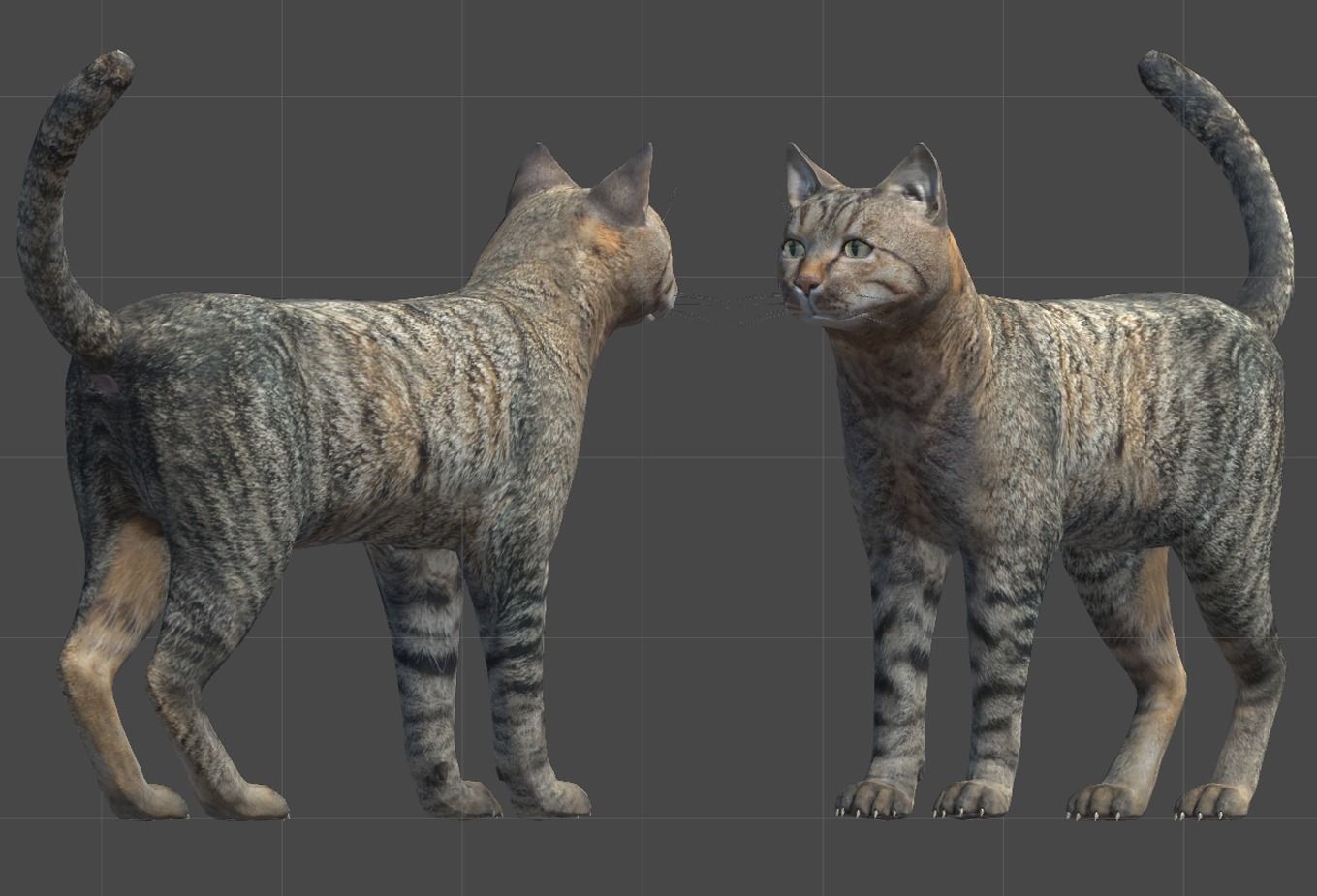 Cat pack 2 Low-poly 3D model_11