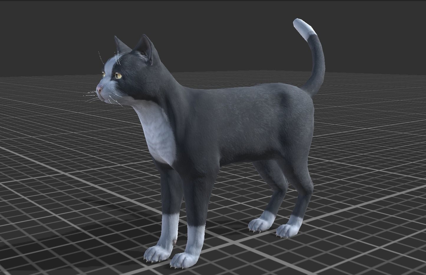 Cat pack 2 Low-poly 3D model_2