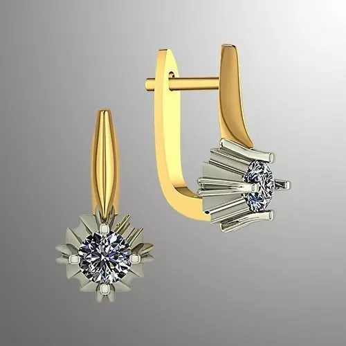 Earrings bi 2  3D print model_0