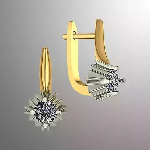 Earrings bi 2  3D print model