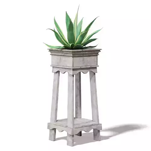 Aloe in Wooden Planter 3D Model