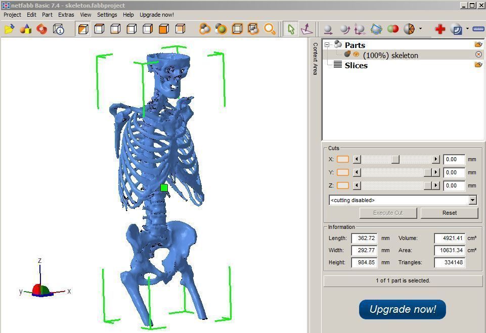 Human skeleton 3D print model_3