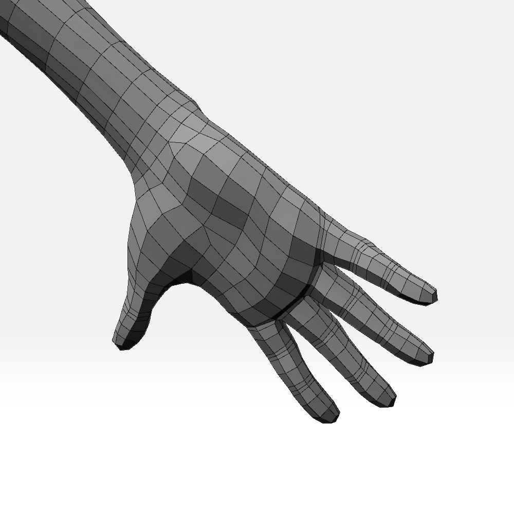 Female Basemesh 3D model_11