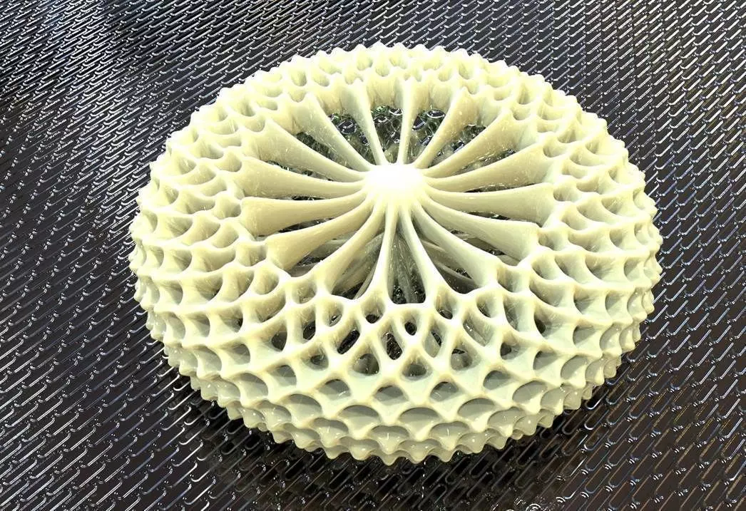 TORUS STRUCTURE SHAPE 3D print model_0