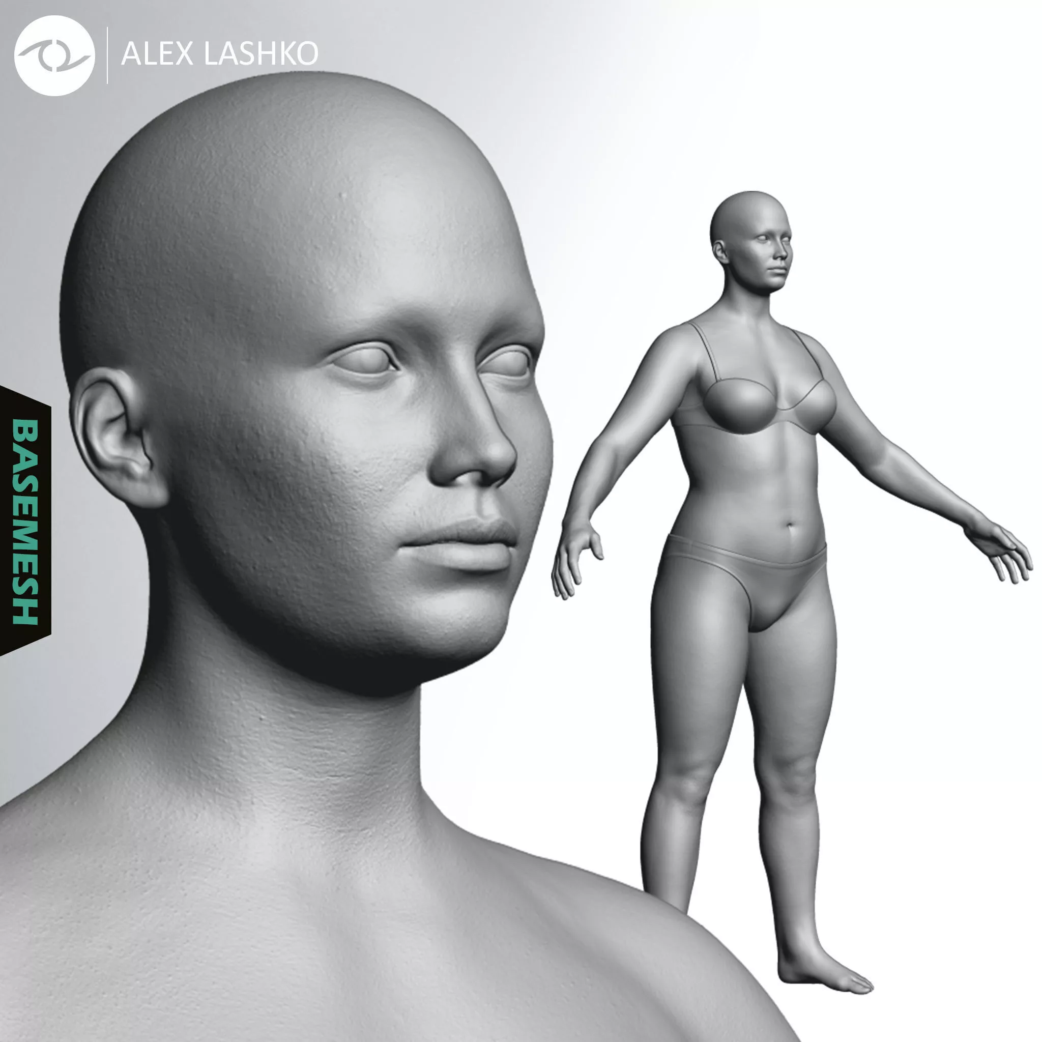 Overweight Female Basemesh 3D model