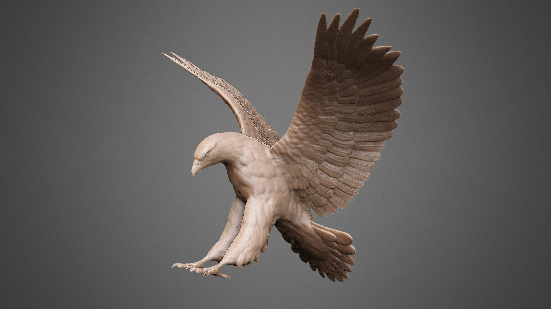 eagle sculpture 3D print model_9