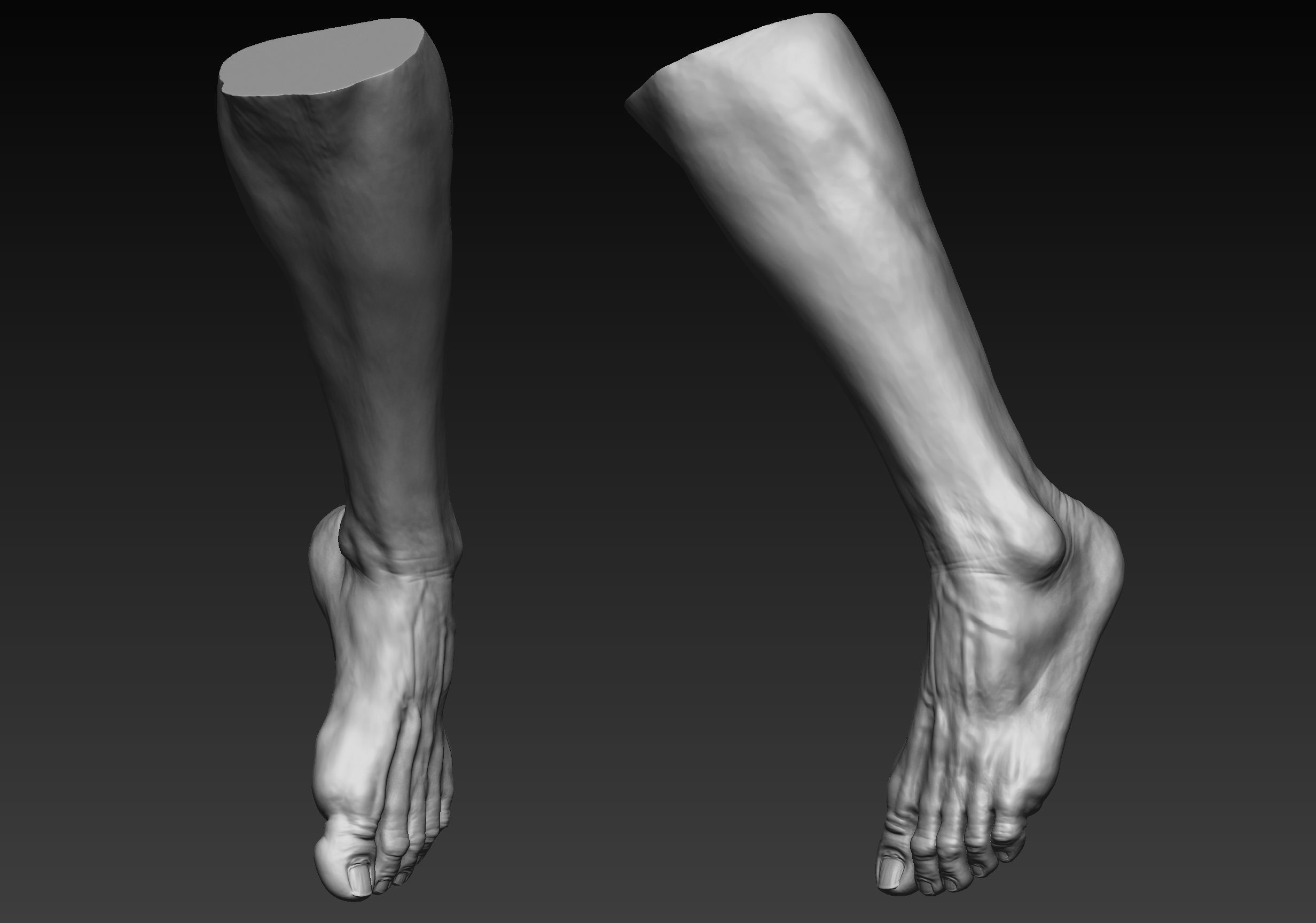 12 Male Feet 3D model_4