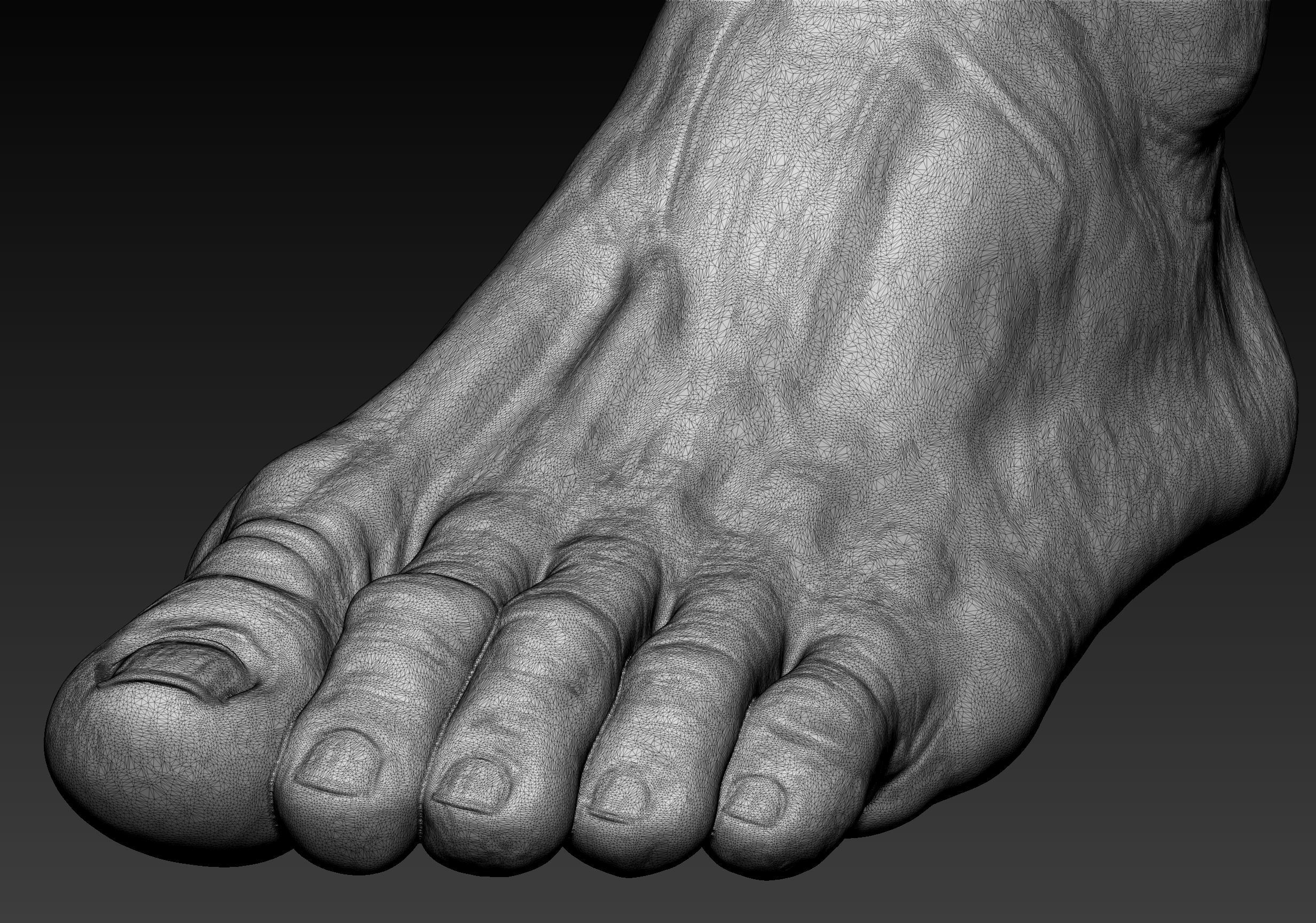 12 Male Feet 3D model_14
