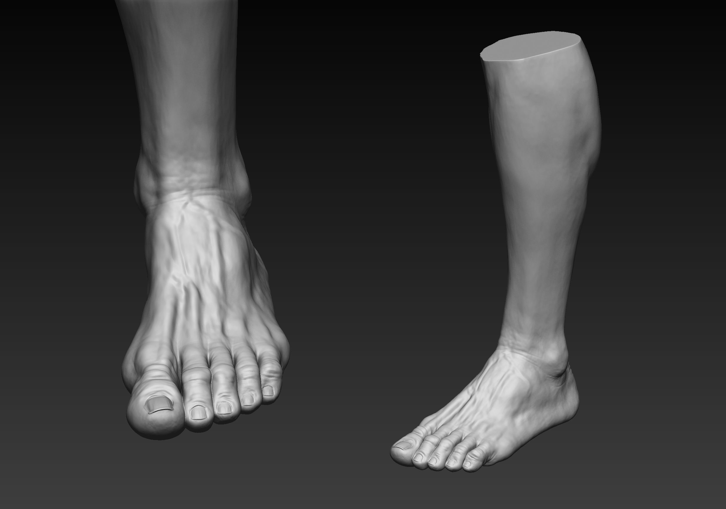 12 Male Feet 3D model_2