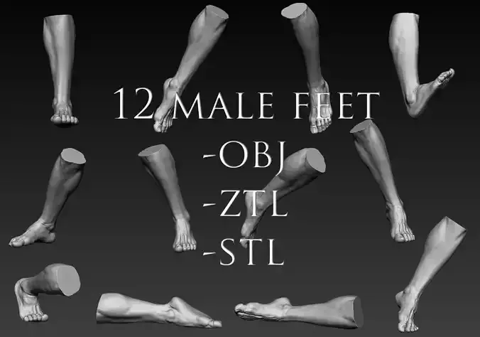 12 Male Feet 3D model