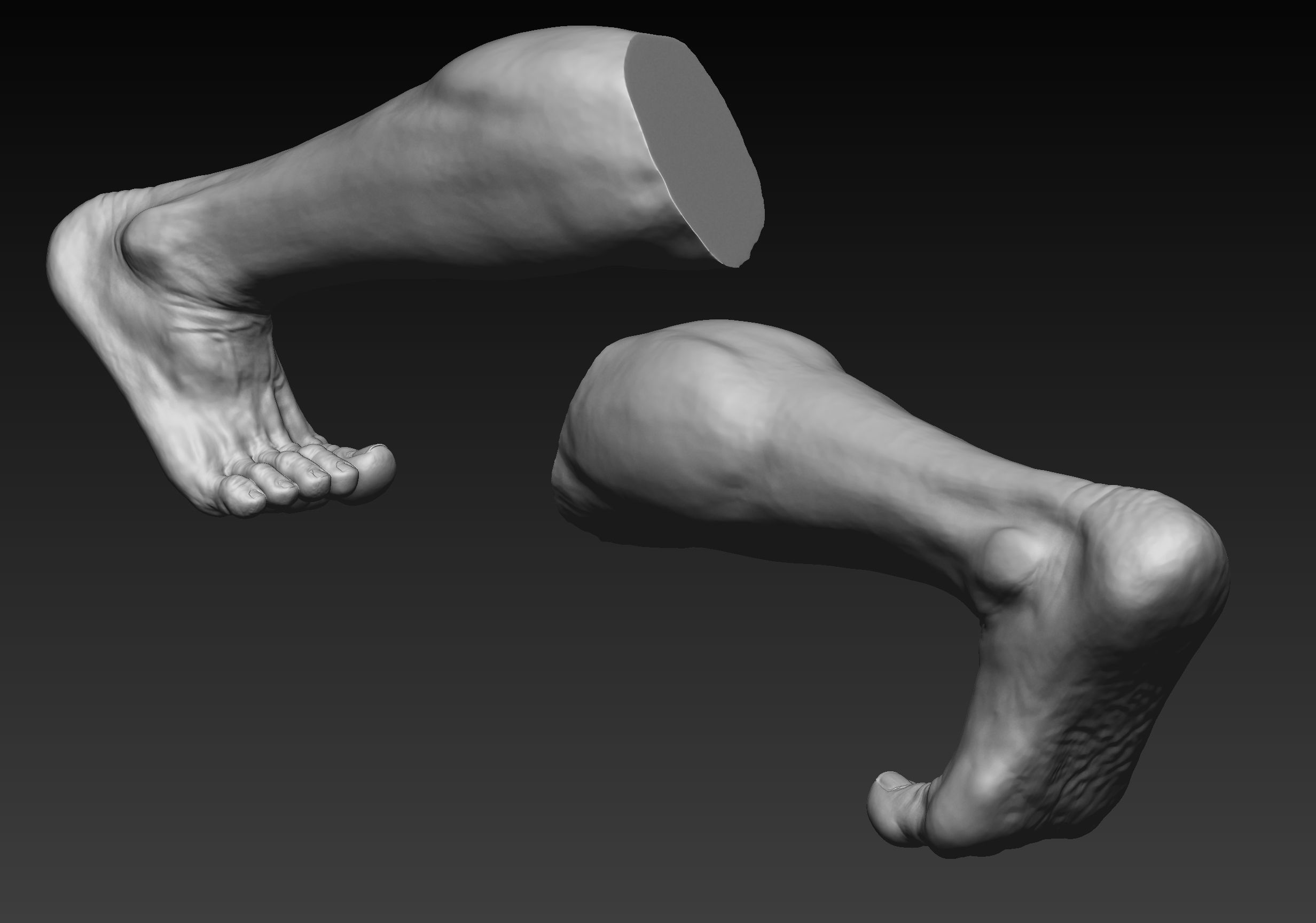 12 Male Feet 3D model_8