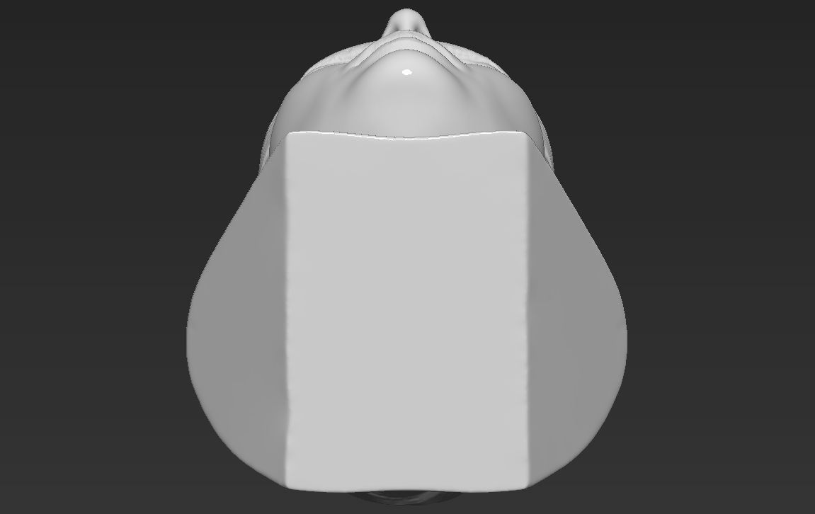 Ivanka Trump bust ready for full color 3D printing 3D print model_52
