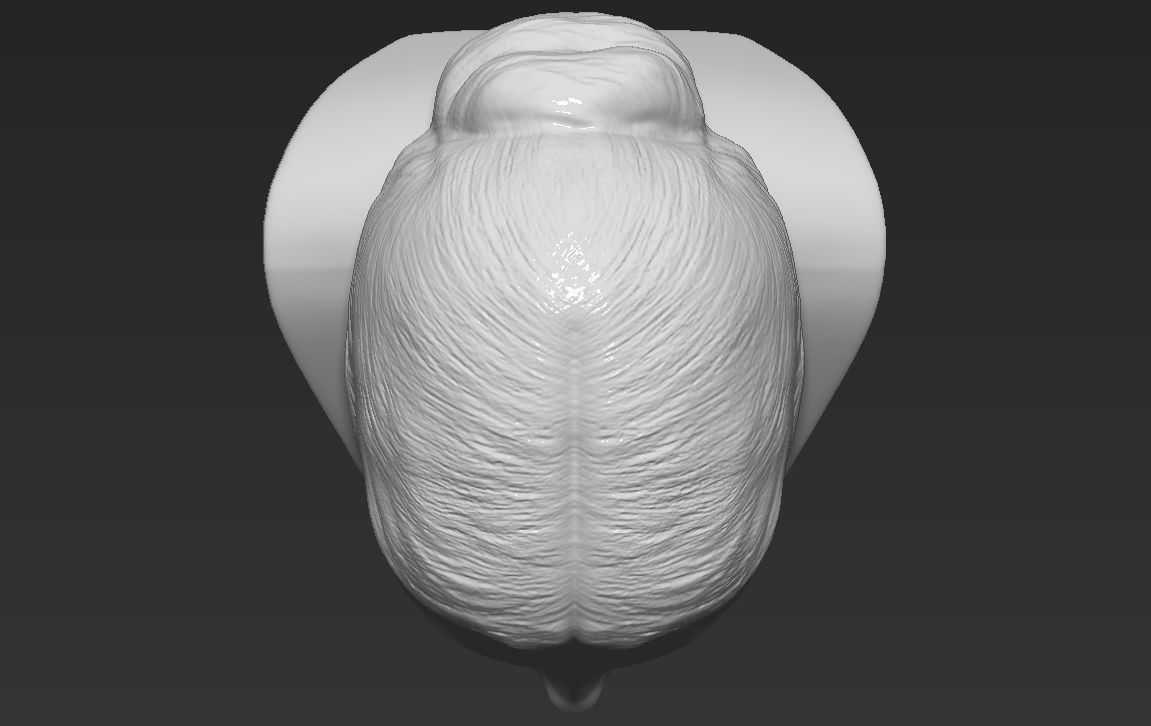 Ivanka Trump bust ready for full color 3D printing 3D print model_39