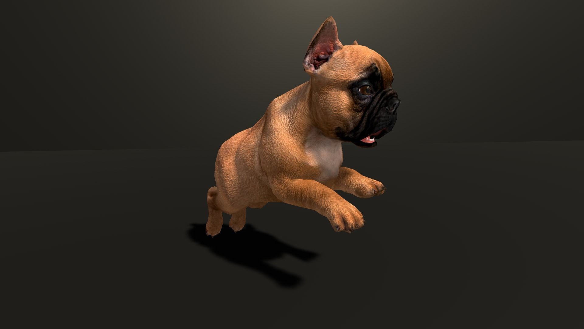 Pug Dog  Low-poly 3D model_14