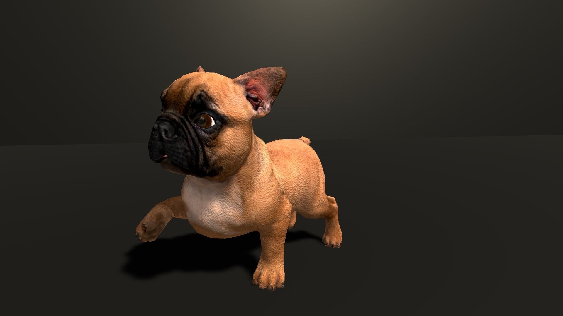 Pug Dog  Low-poly 3D model_35