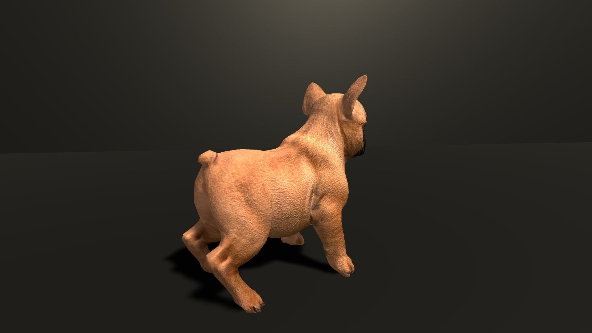 Pug Dog  Low-poly 3D model_7