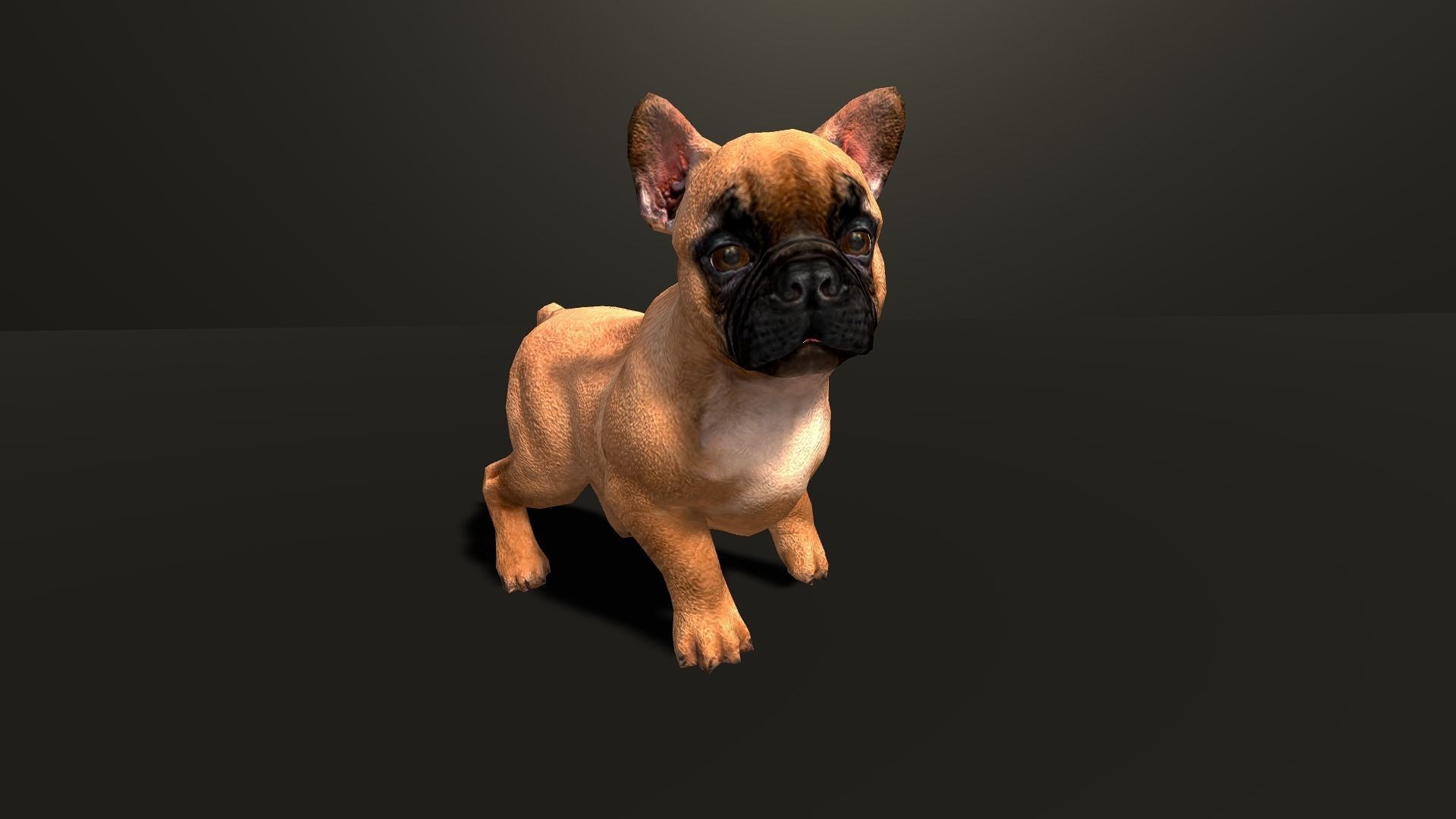 Pug Dog  Low-poly 3D model_12