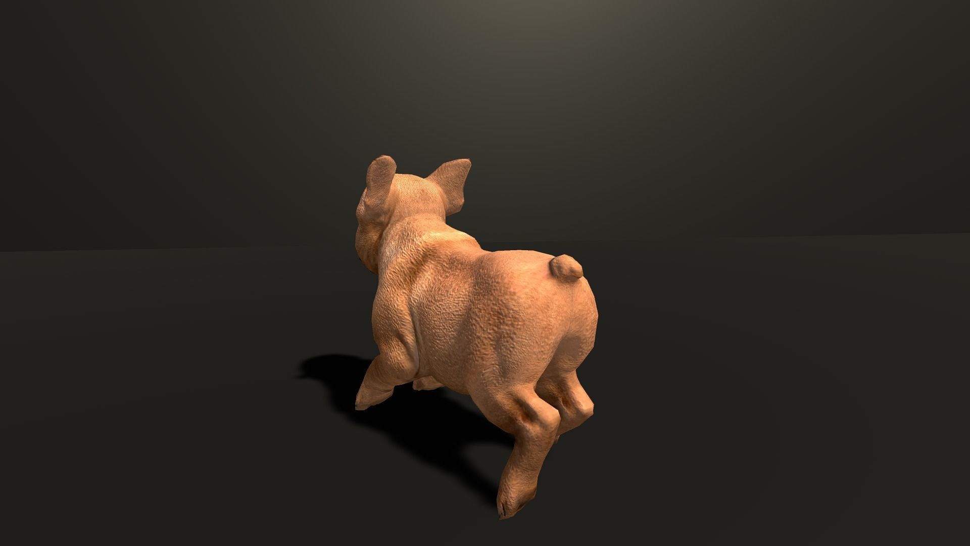Pug Dog  Low-poly 3D model_21