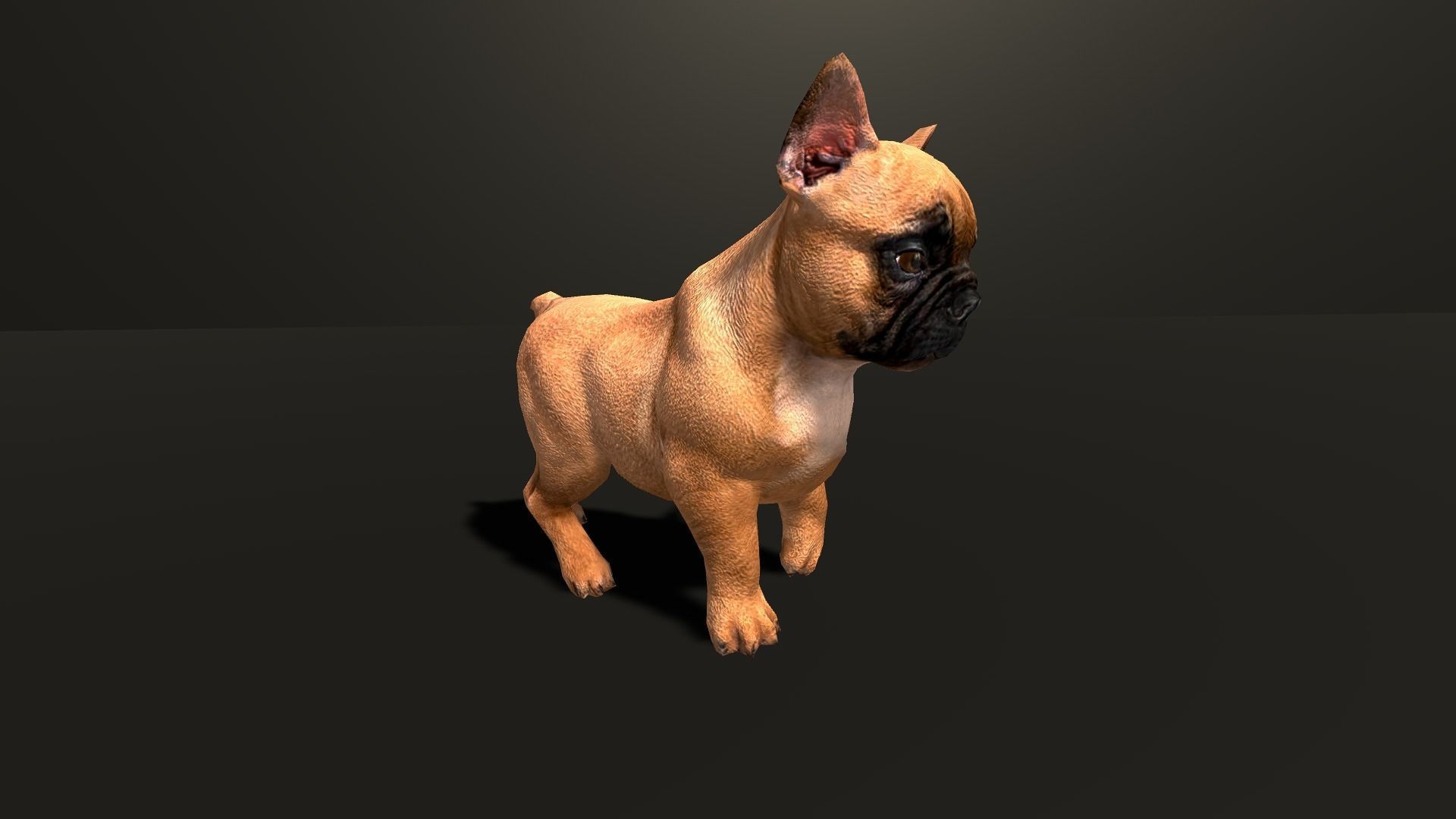 Pug Dog  Low-poly 3D model_3
