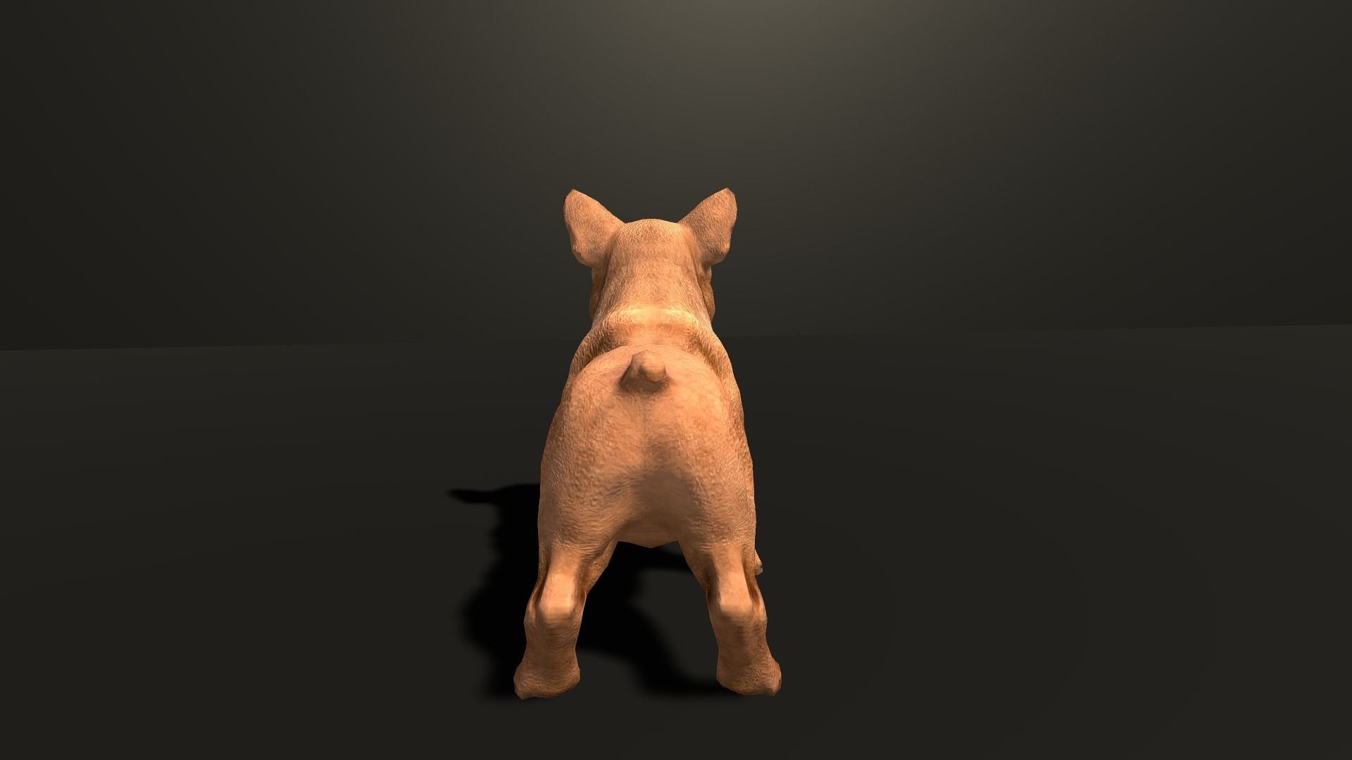 Pug Dog  Low-poly 3D model_18