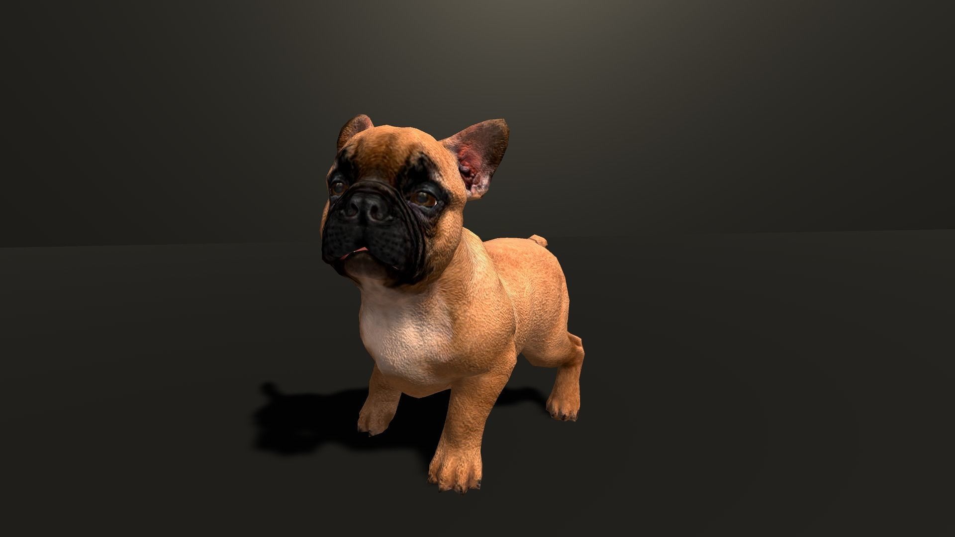 Pug Dog  Low-poly 3D model_31