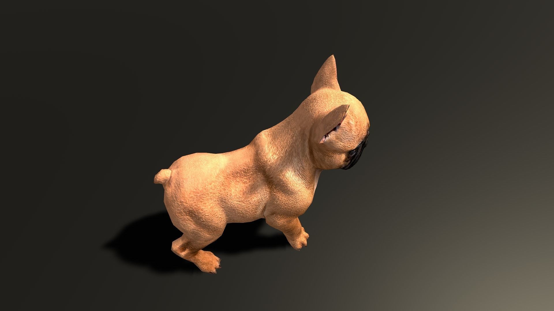 Pug Dog  Low-poly 3D model_33