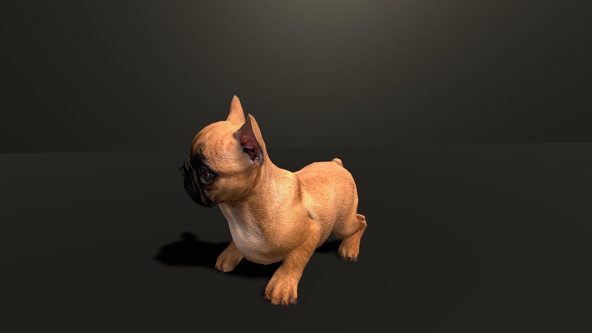 Pug Dog  Low-poly 3D model_29