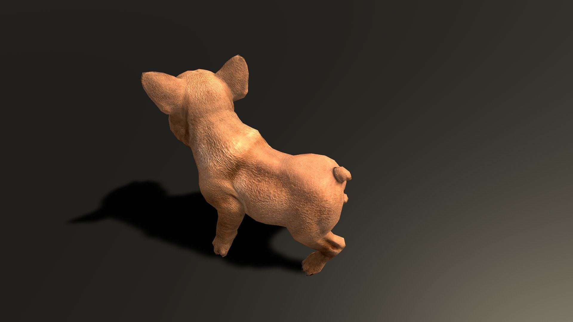 Pug Dog  Low-poly 3D model_39