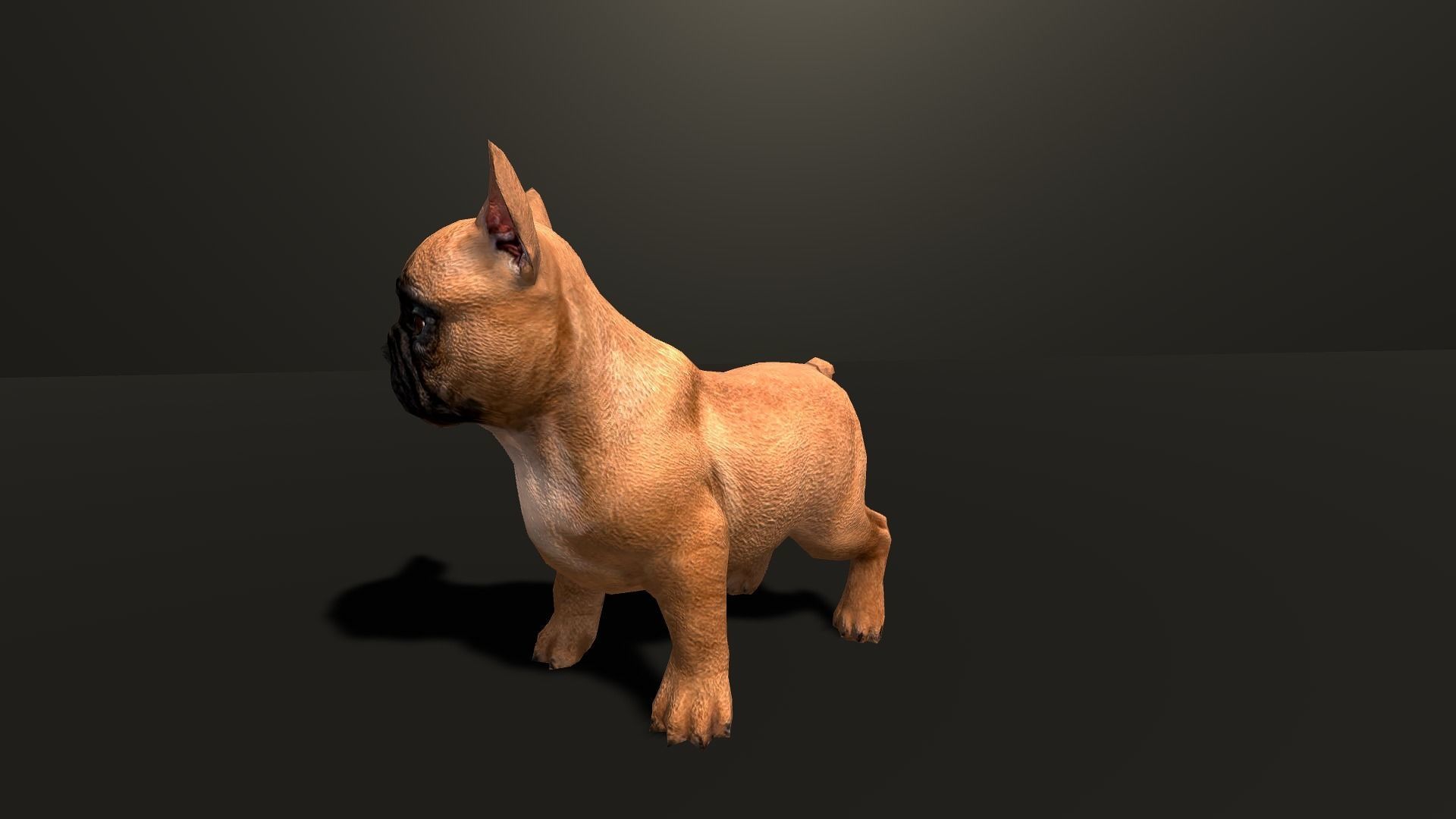 Pug Dog  Low-poly 3D model_32