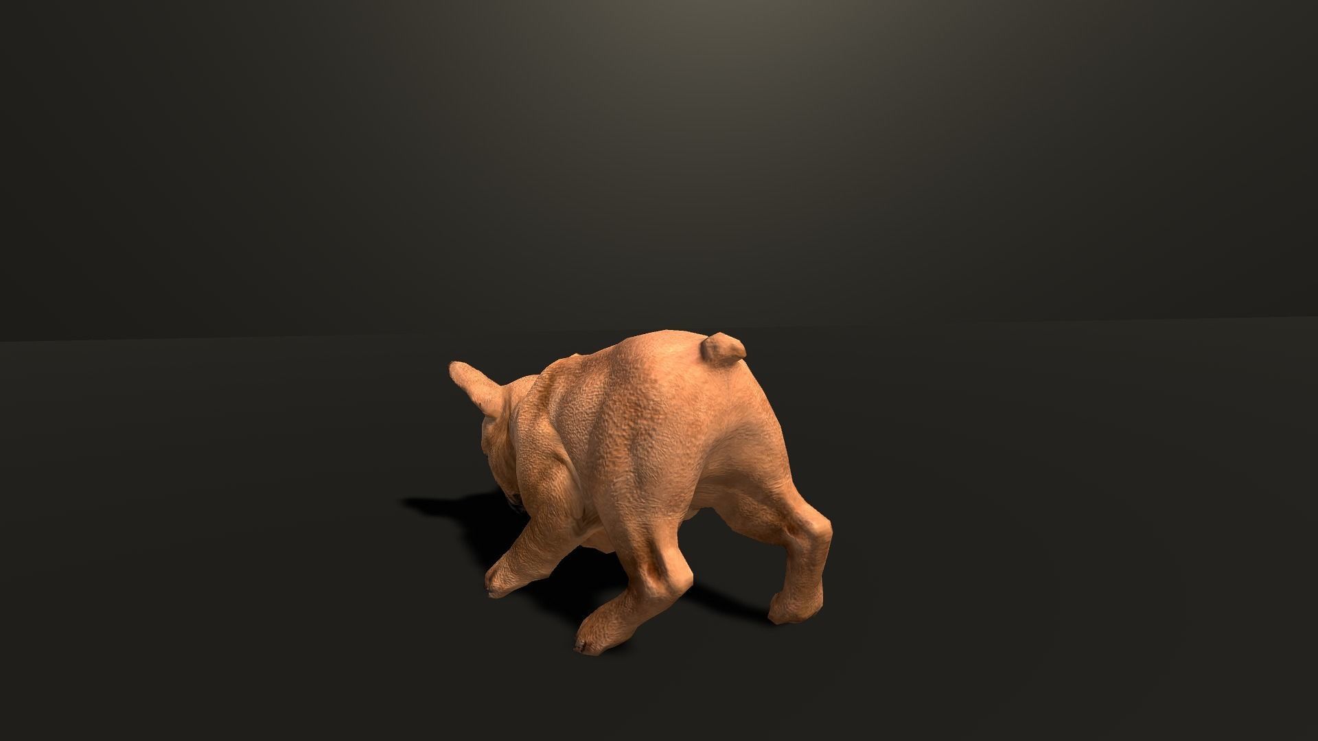 Pug Dog  Low-poly 3D model_19
