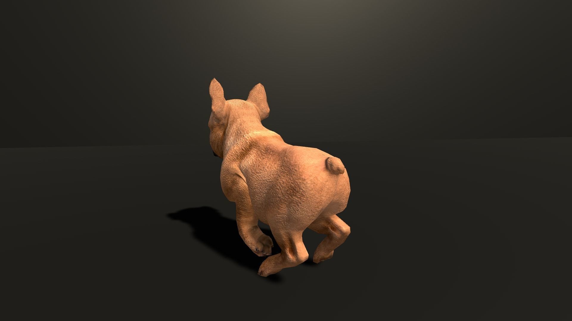 Pug Dog  Low-poly 3D model_26