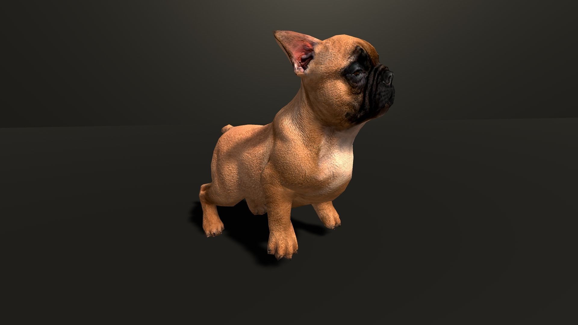 Pug Dog  Low-poly 3D model_40
