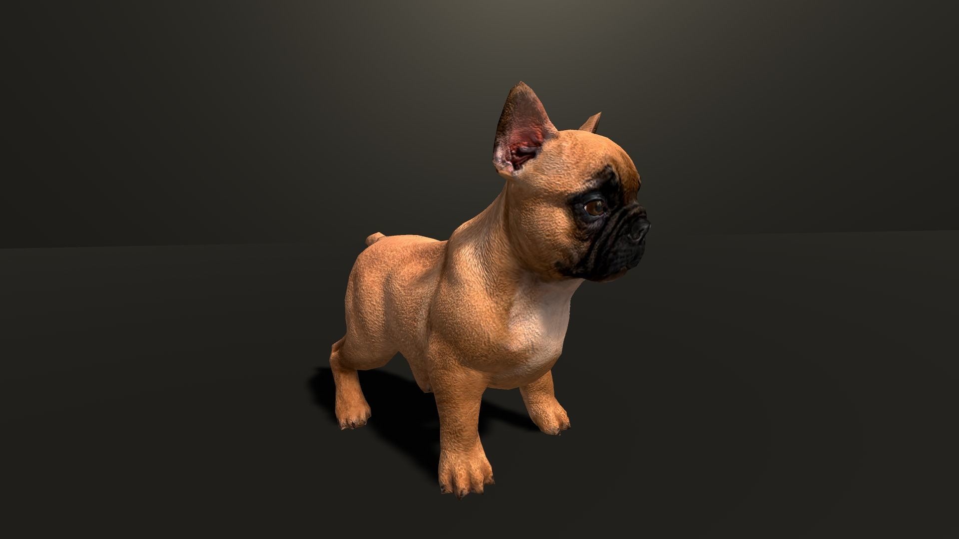 Pug Dog  Low-poly 3D model_17