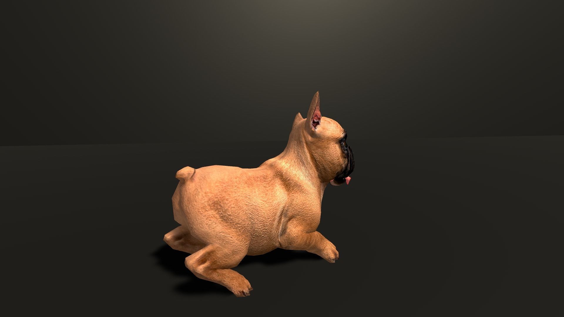 Pug Dog  Low-poly 3D model_6