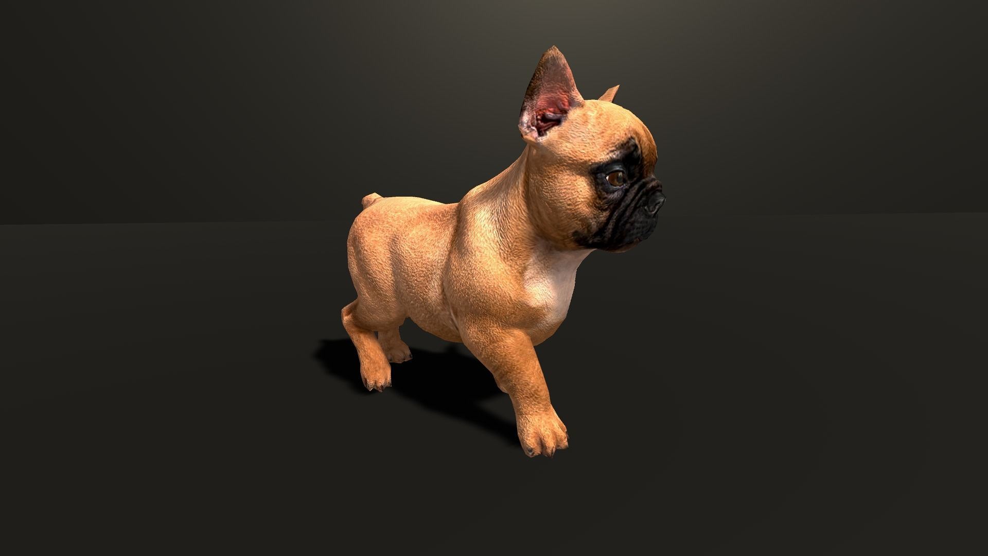Pug Dog  Low-poly 3D model_4