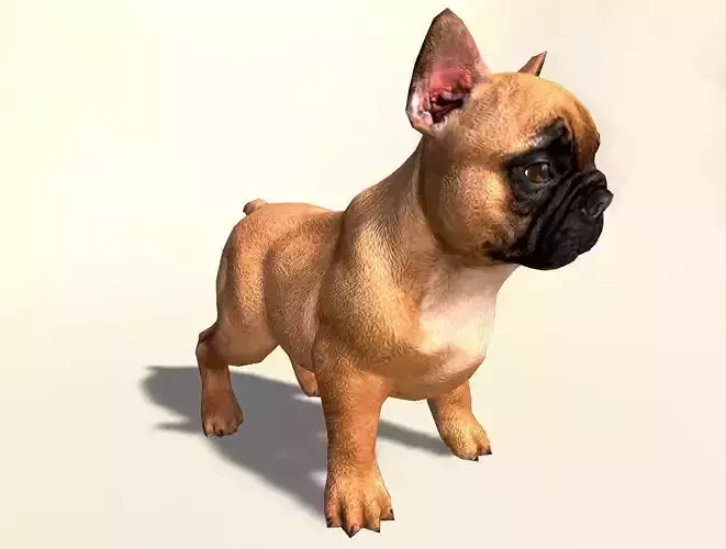 Pug Dog  Low-poly 3D model