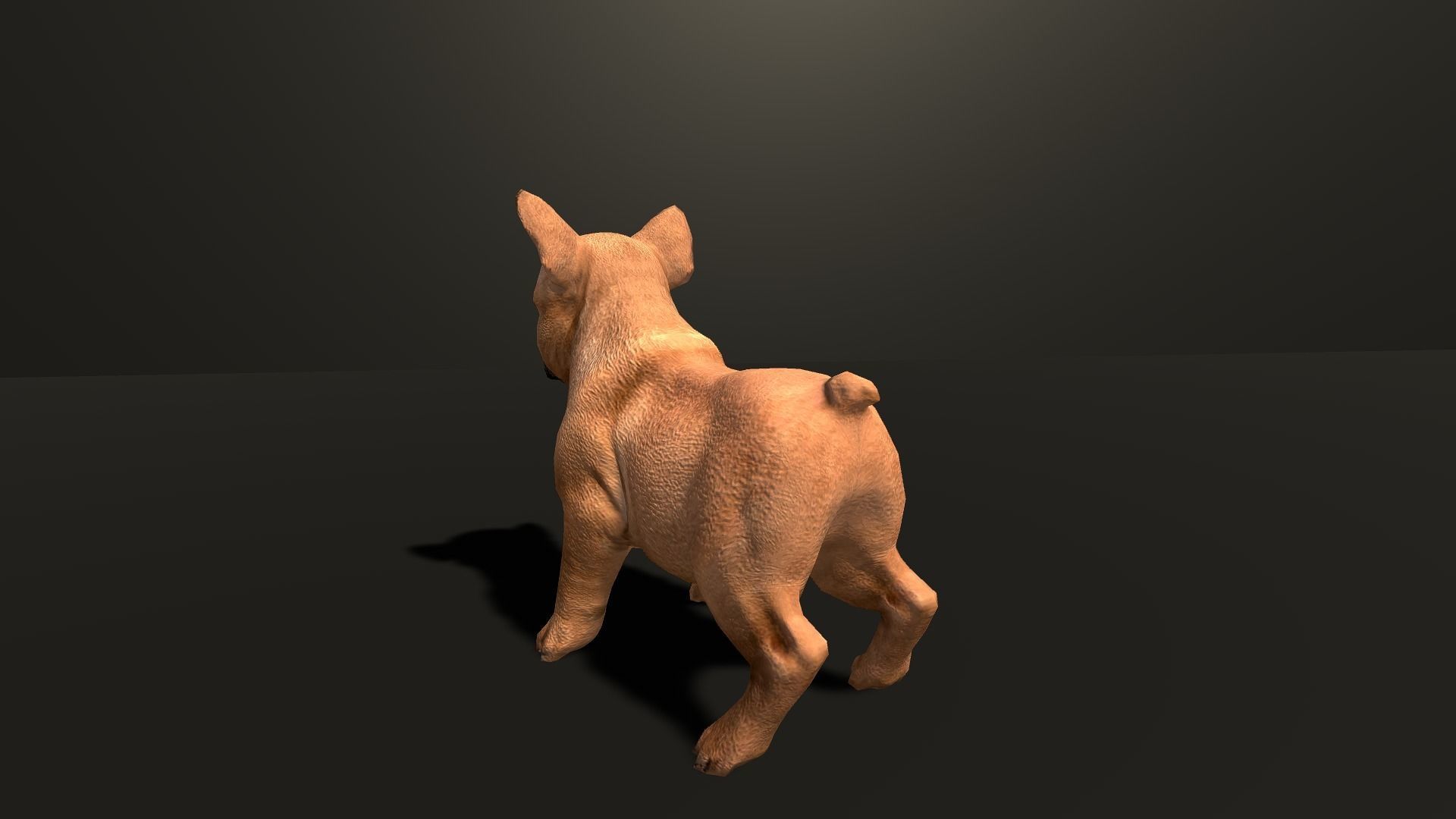 Pug Dog  Low-poly 3D model_20