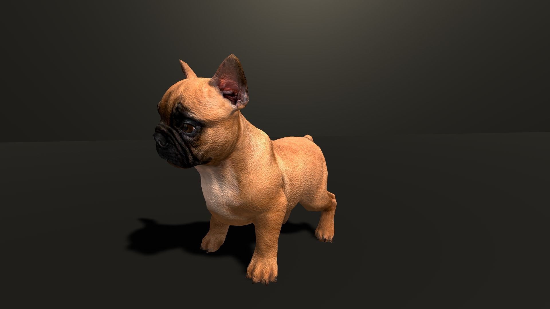 Pug Dog  Low-poly 3D model_34