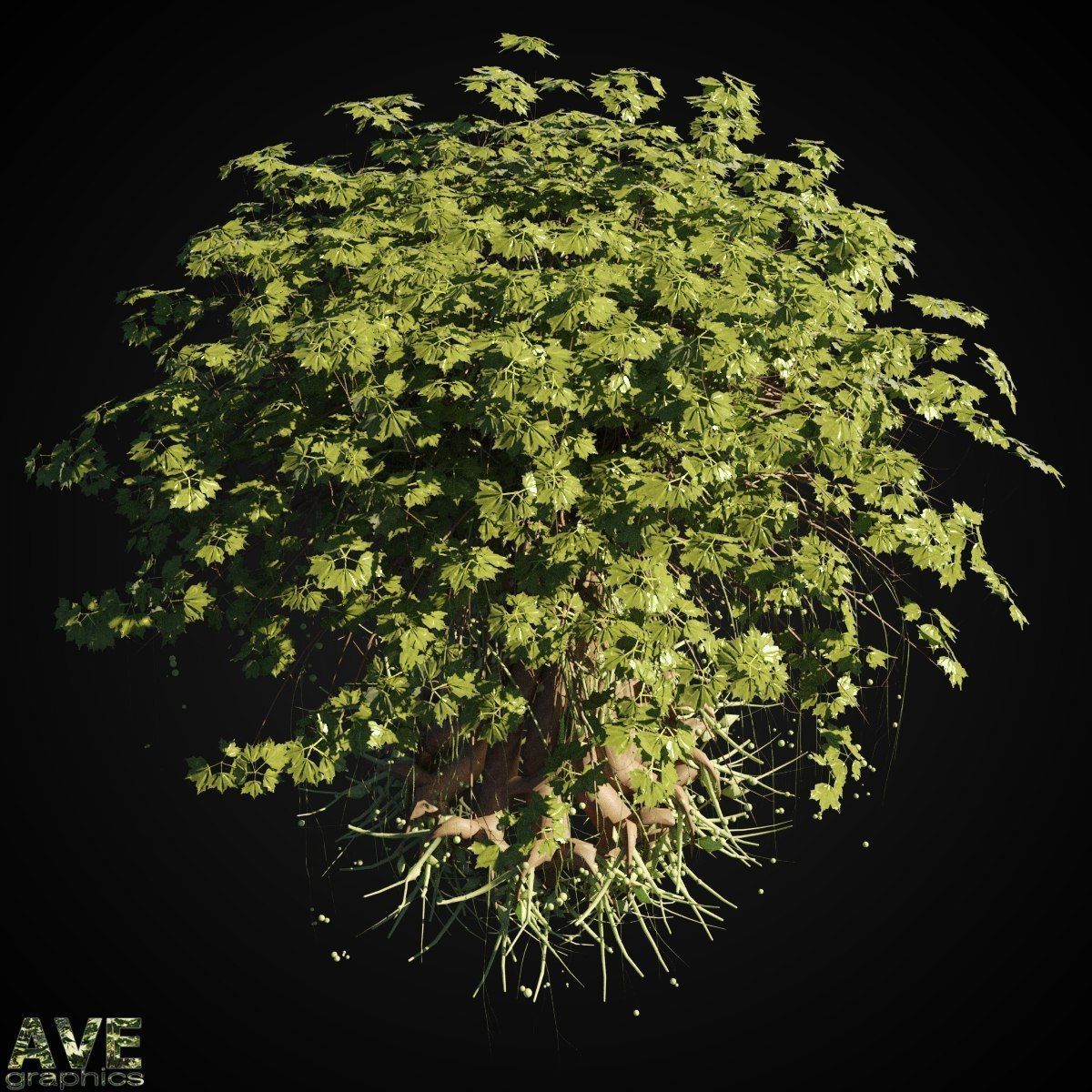 Magic Tree not stl 3D model_2