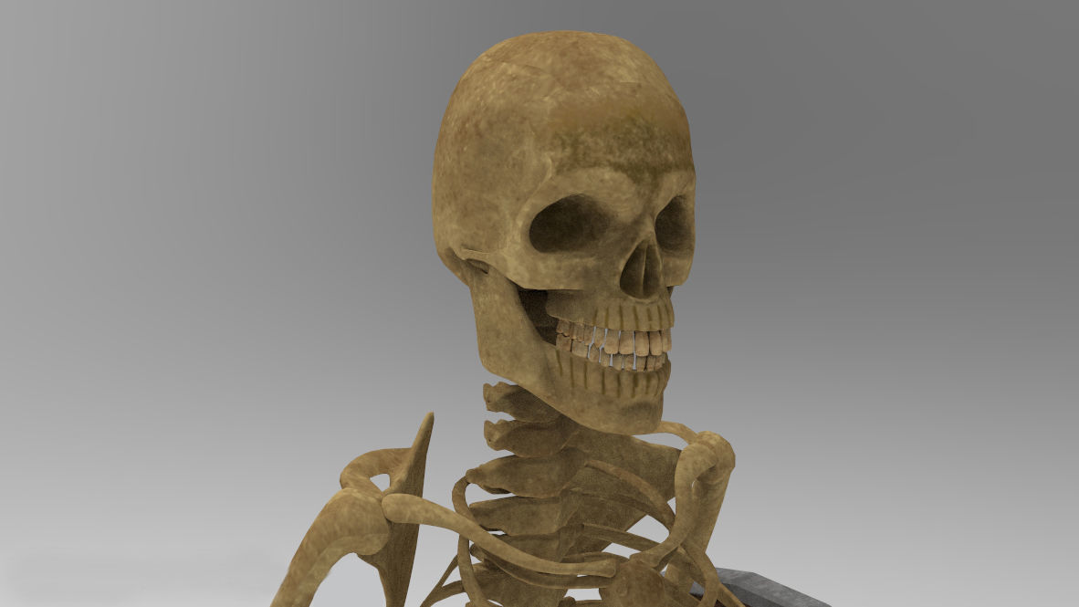 Skeleton Character 3D model_2