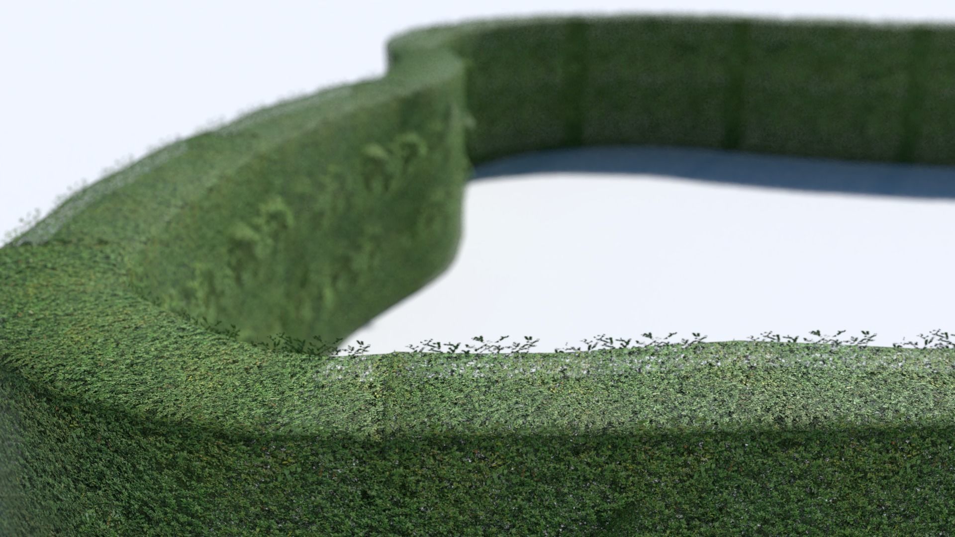 Hedge grass block Low-poly 3D model_6