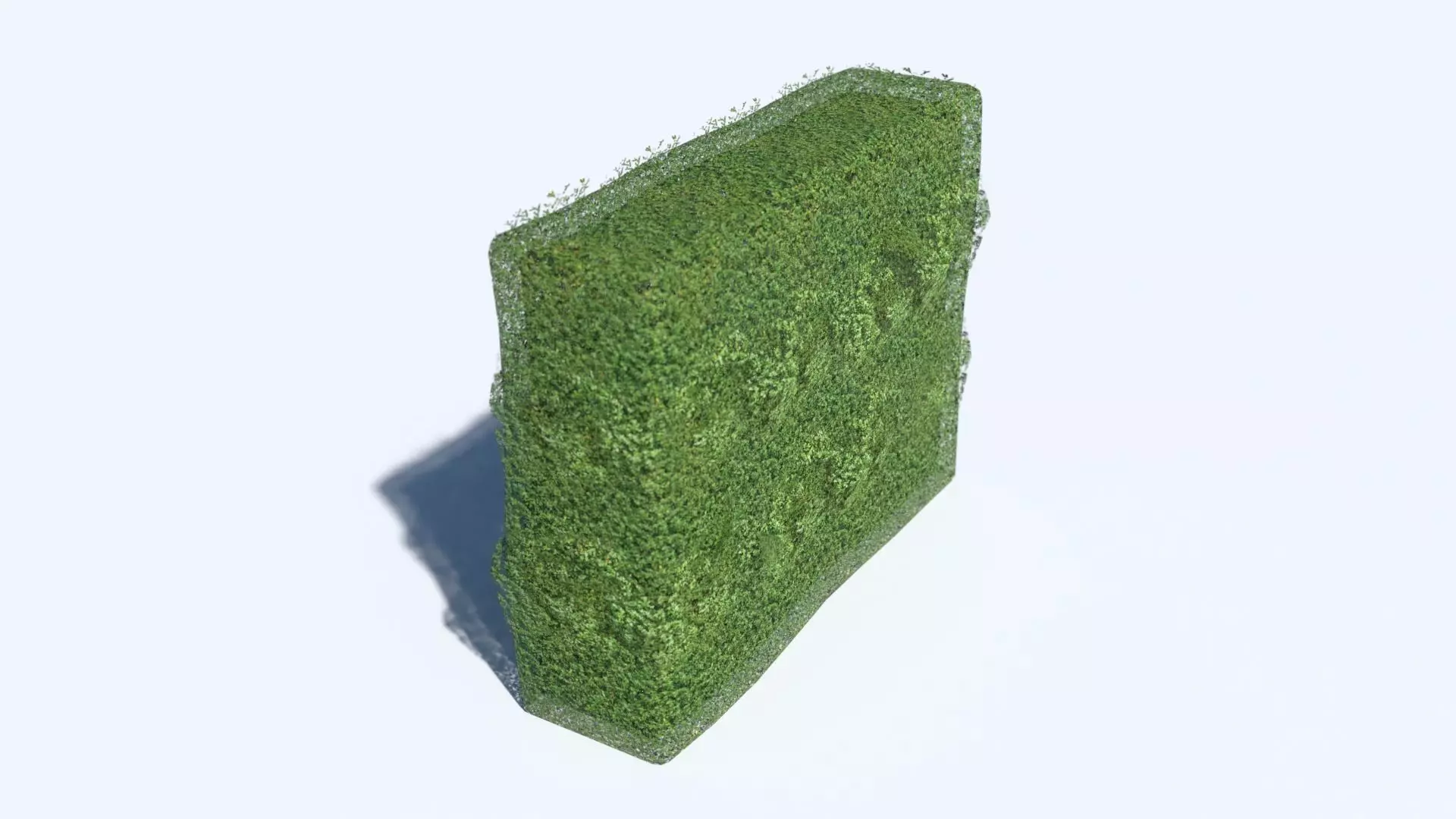 Hedge grass block Low-poly 3D model_0